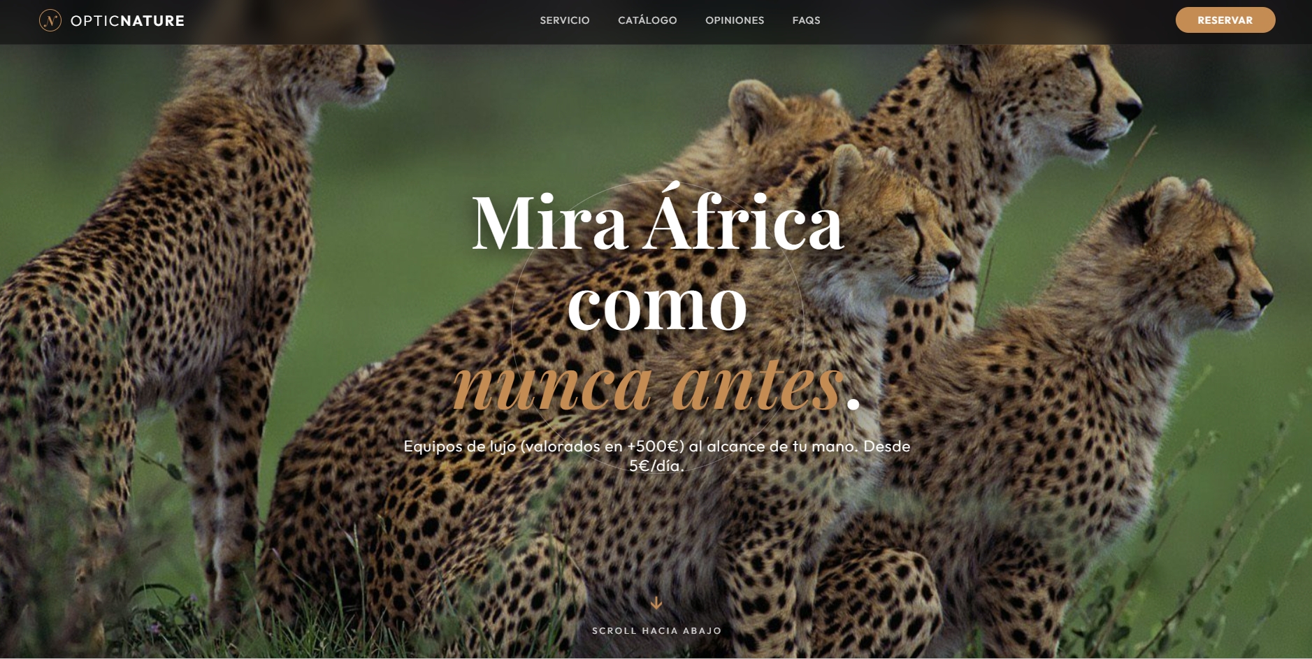 Optic Nature - Leopardos